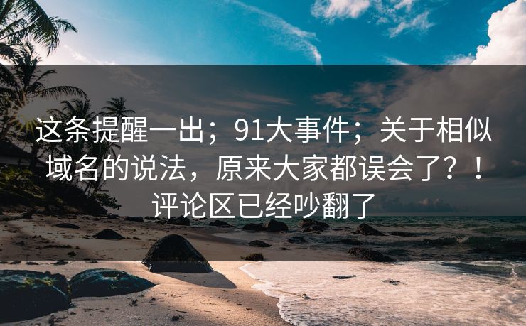 这条提醒一出；91大事件；关于相似域名的说法，原来大家都误会了？！评论区已经吵翻了
