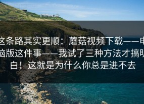 这条路其实更顺：蘑菇视频下载——电脑版这件事——我试了三种方法才搞明白！这就是为什么你总是进不去
