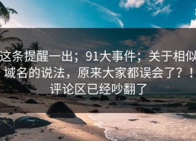 这条提醒一出；91大事件；关于相似域名的说法，原来大家都误会了？！评论区已经吵翻了