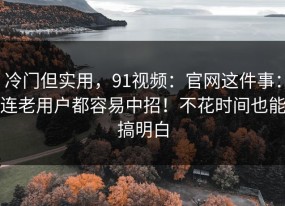 冷门但实用，91视频：官网这件事：连老用户都容易中招！不花时间也能搞明白